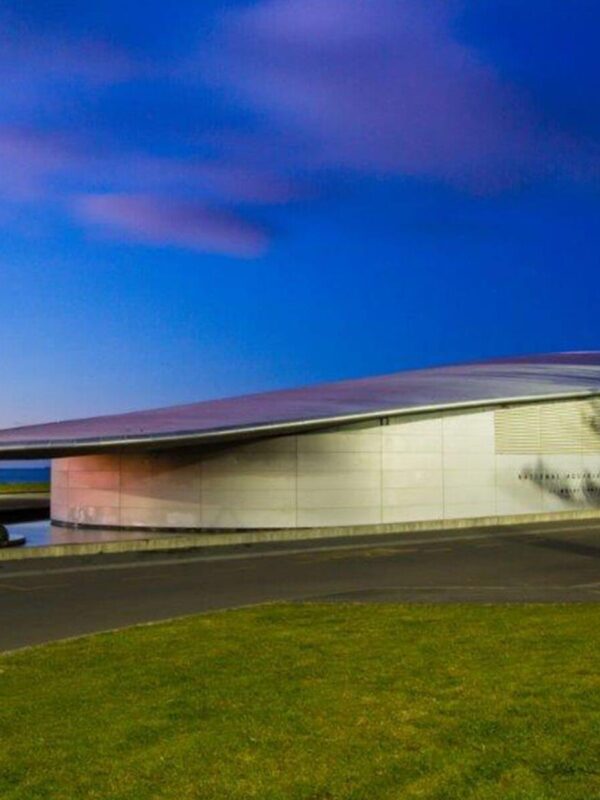 project-national-aquarium